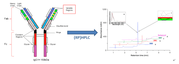 RPLC analysis of biopharmaceuticals.png
